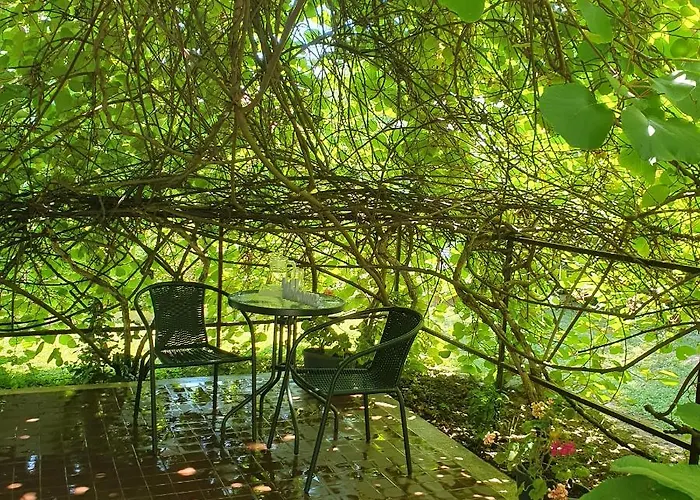 Sophie's 3* 希欧福克