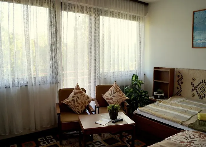 招待所 Sophie's 3*