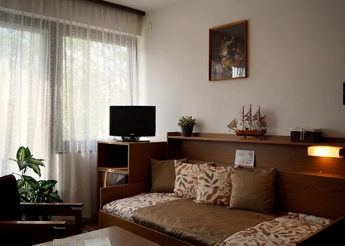 Sophie's 希欧福克